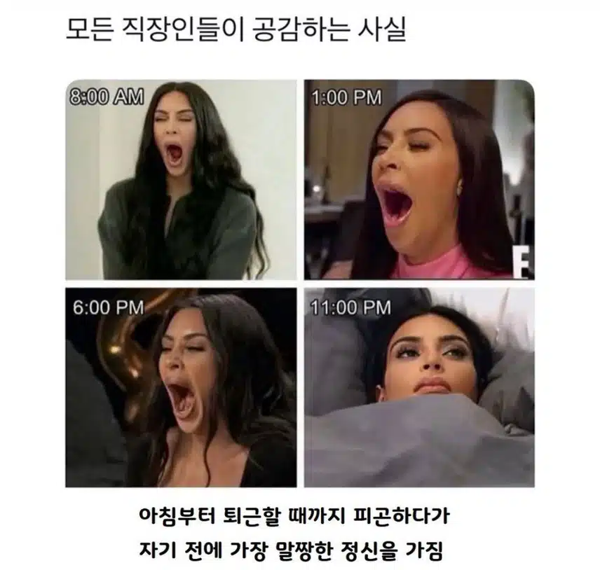 모든 직장인들이 공감하는 사실