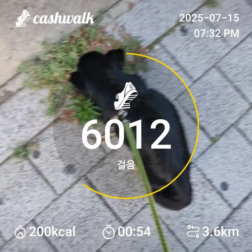 인증
