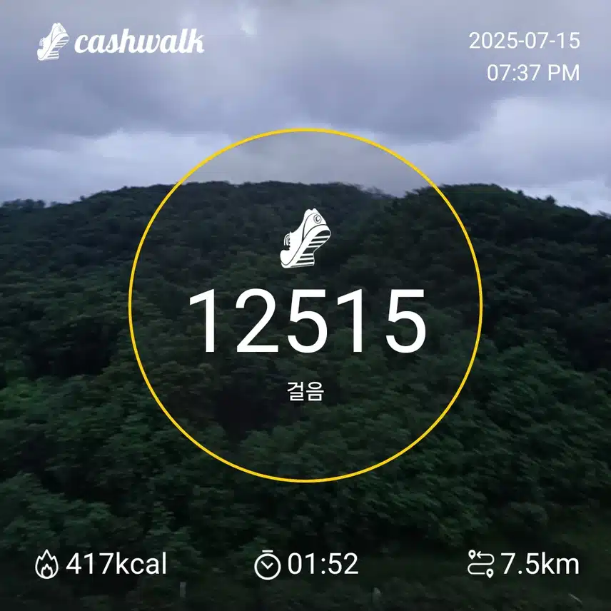 인증 