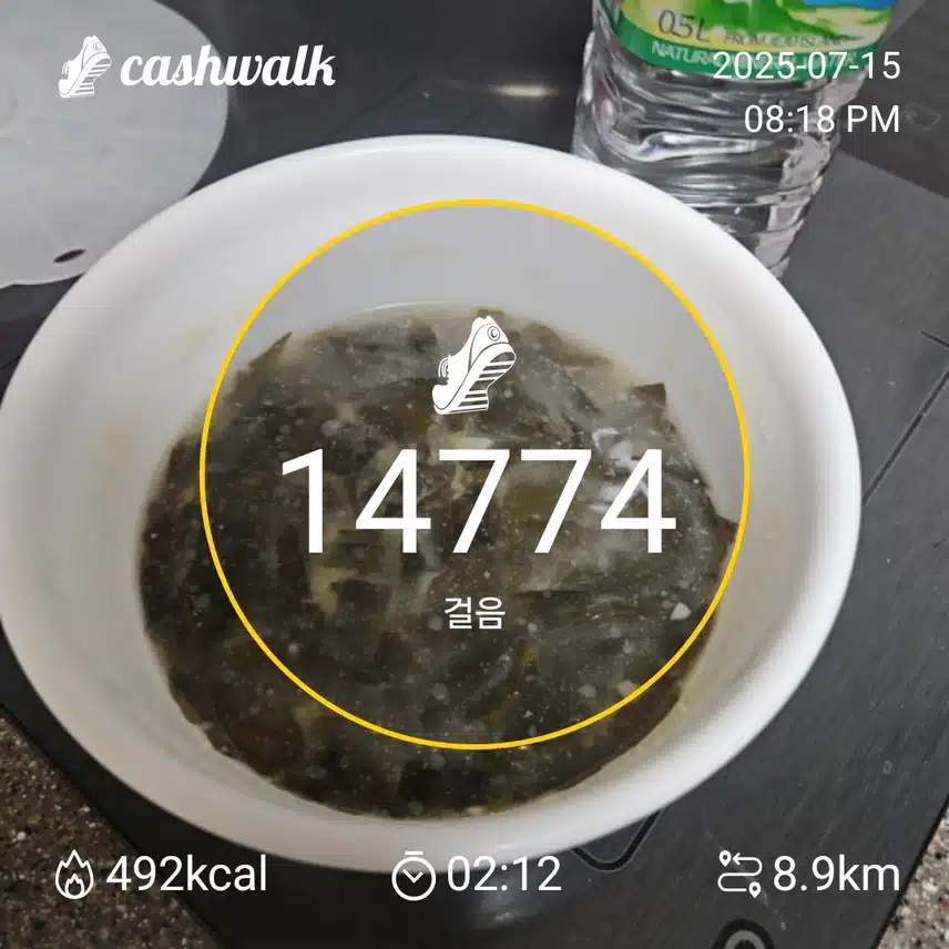인증 