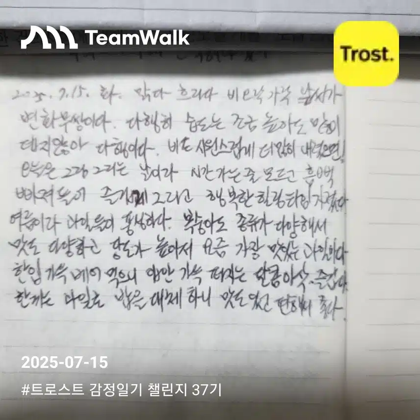 감정일기 8일차 