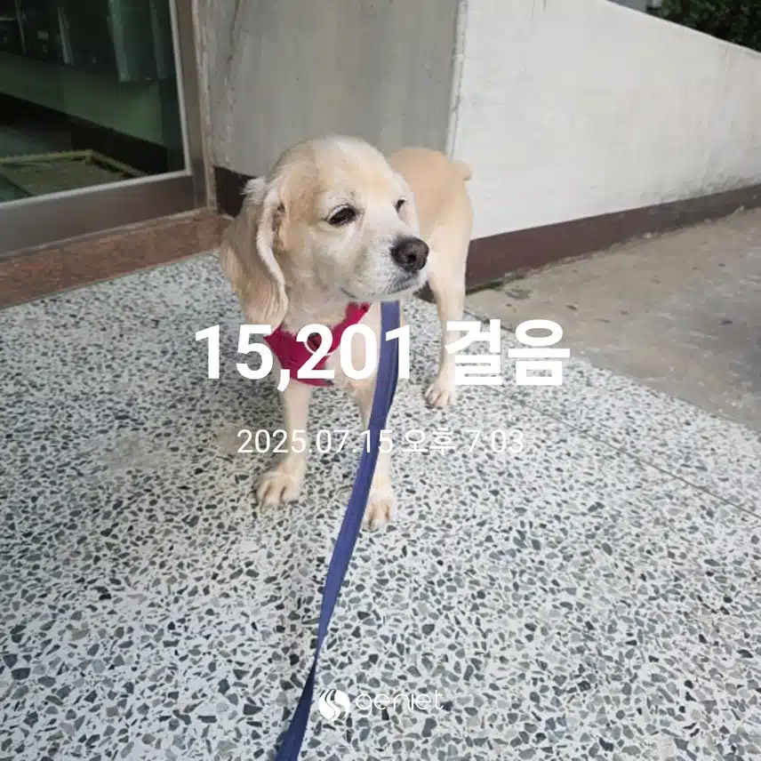 화요일 마무리 