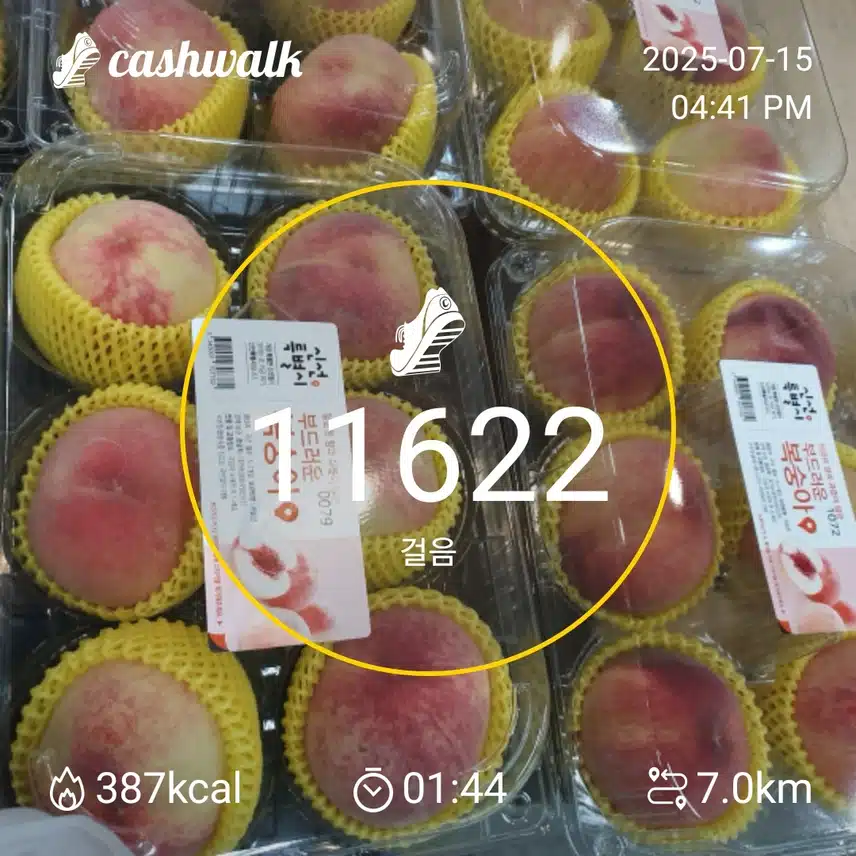 달콤함의 정석