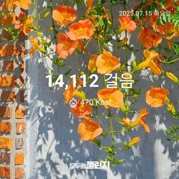 7월 15일 만사천보 완주 
