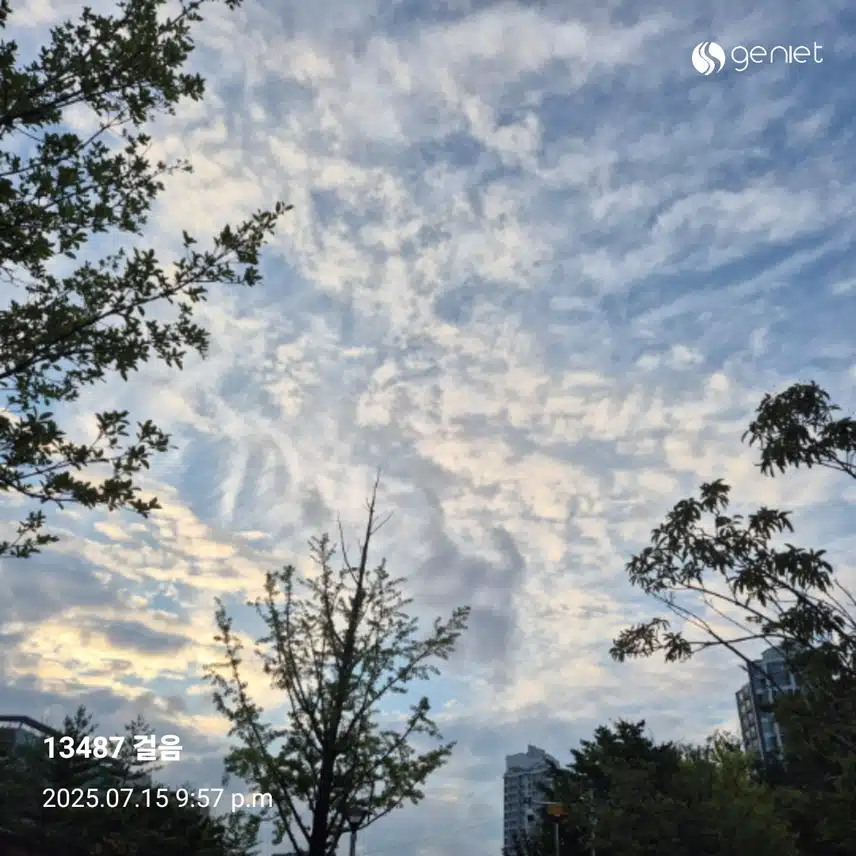 걷기 좋은날 만보성공~