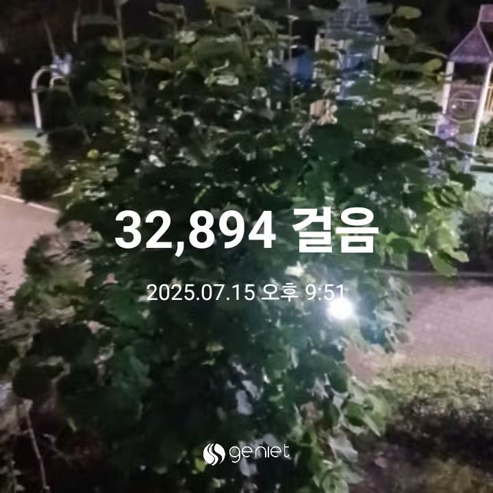삼만보 걷기 