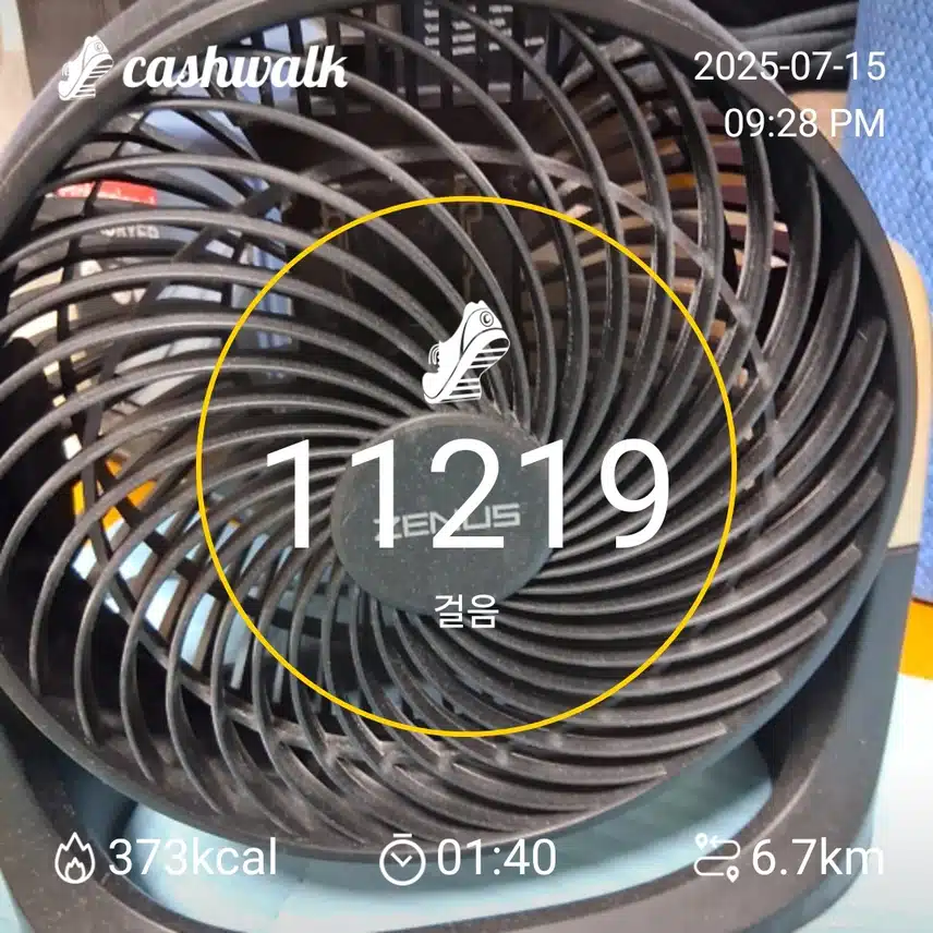 쇼마젠시