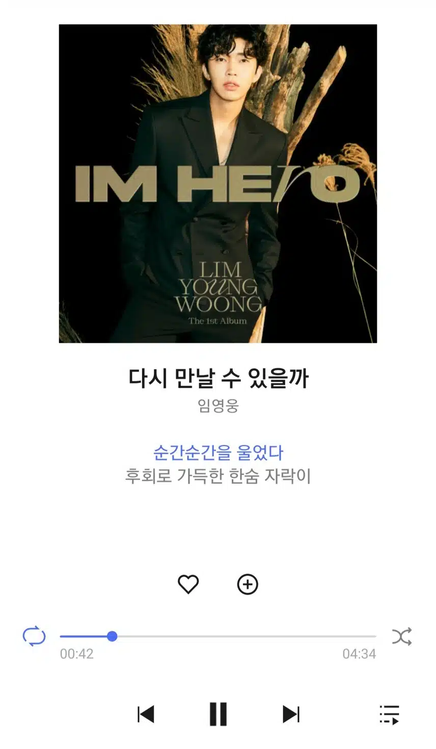 영웅님 다시 만날수 있을까 노래 들어요 