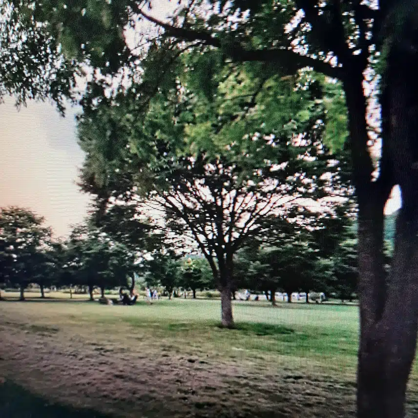멀리 갈 필요없이 캠핑하며 바베큐를 즐겨요