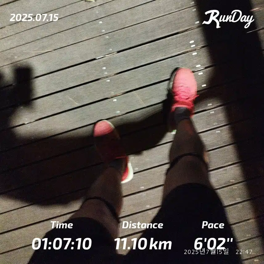 11km 즐겁게 달렸습니다🏃🏻‍♂️