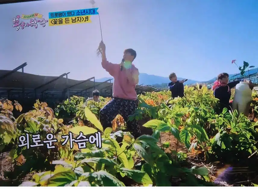 봉숭아학당 에서 이찬원님이  인삼대회에서 1등했네요