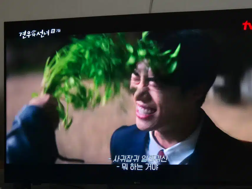 추영우님 1인 2역 보는 재미가 쏠쏠하네요