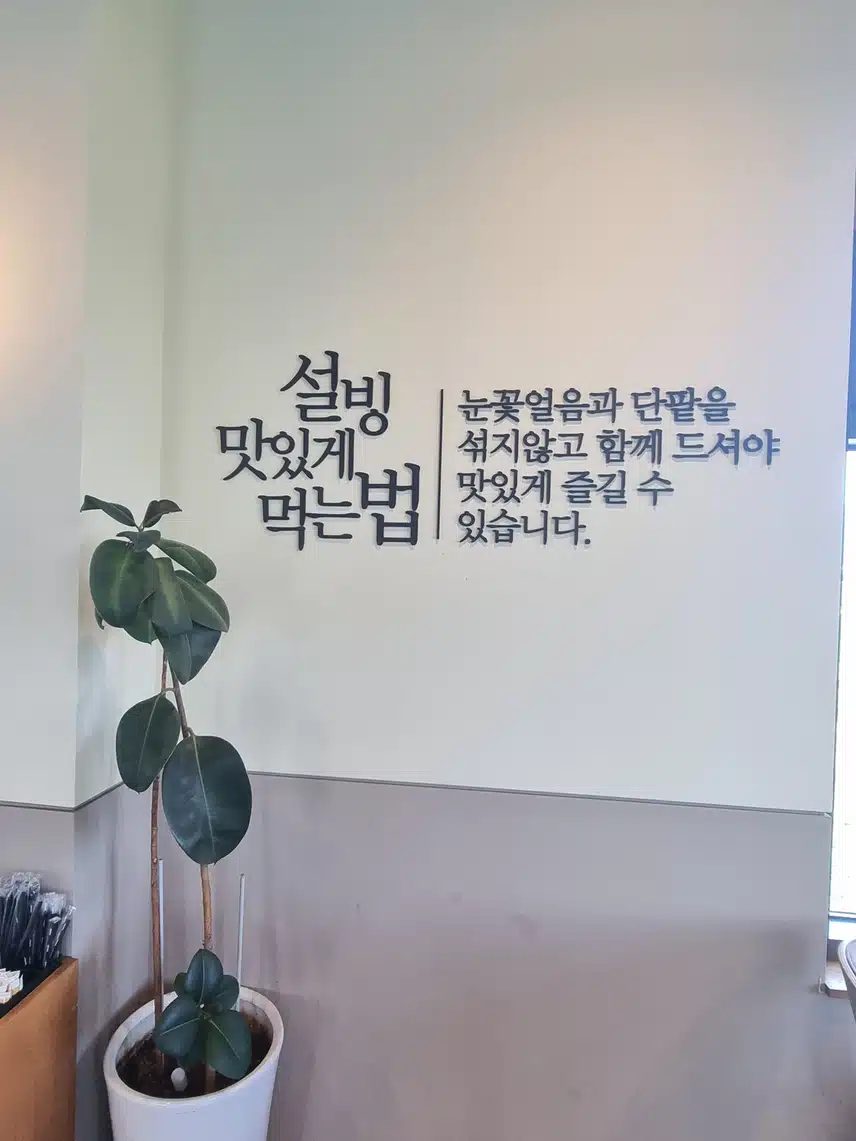 설빙 애플 망고빙수 너무 맛나네요