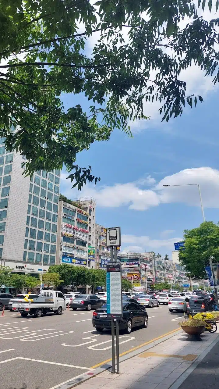 여름 산책길 하늘이 정말 파랗네요 