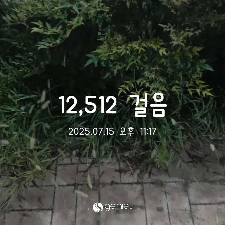 만보완료