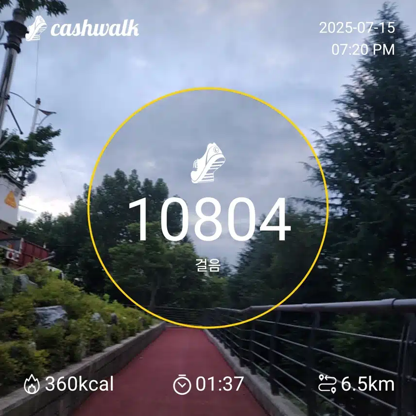 인증