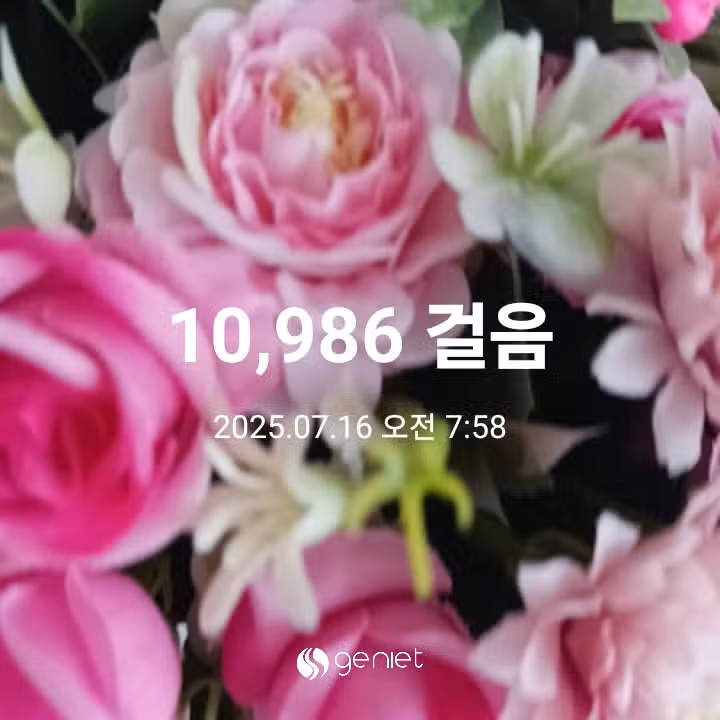 오전 운동 