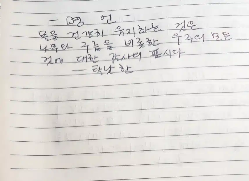 감정일기