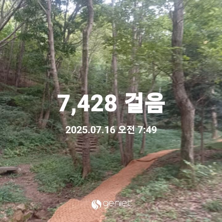 최애운동 등산의 효과