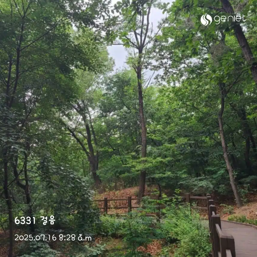 아침 산책길🏃‍♀️🏃‍♀️
