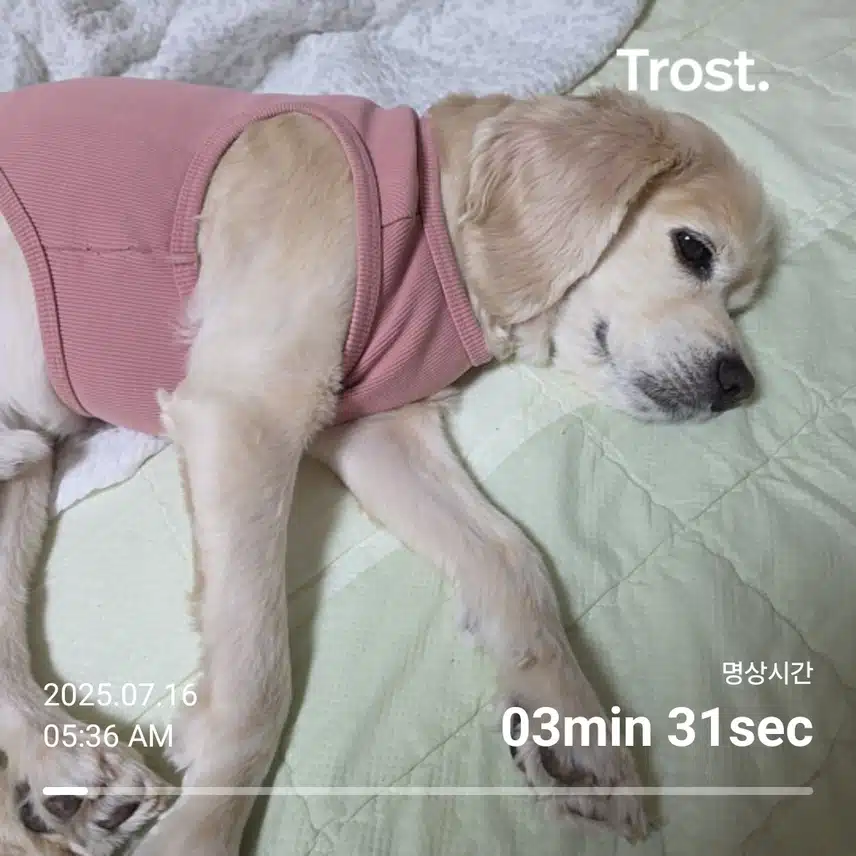 수요일 아침 