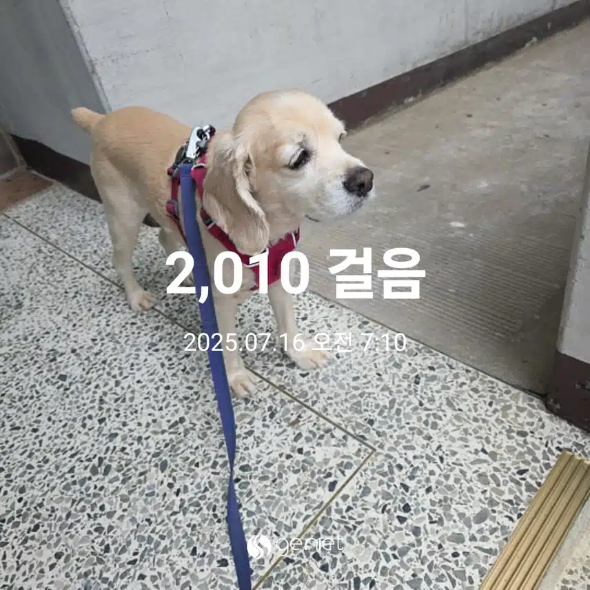 수요일 아침 