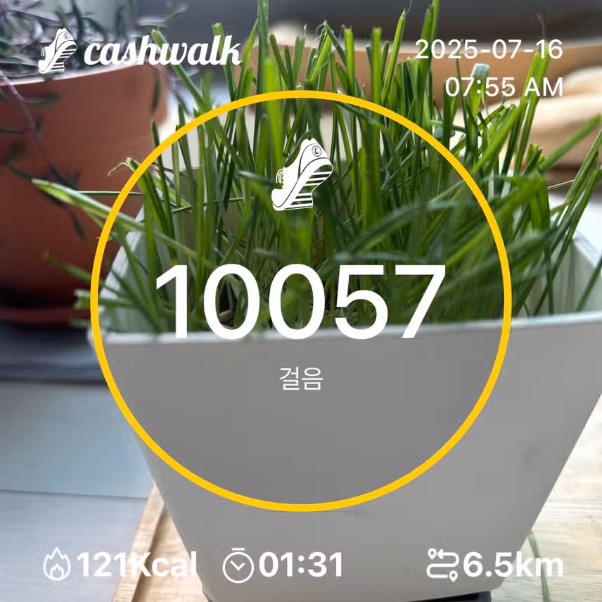 인증