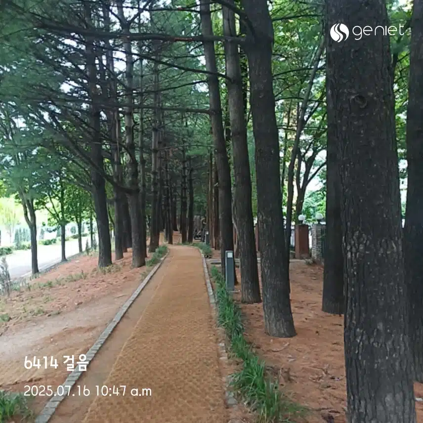 가볍게 오전 산책 