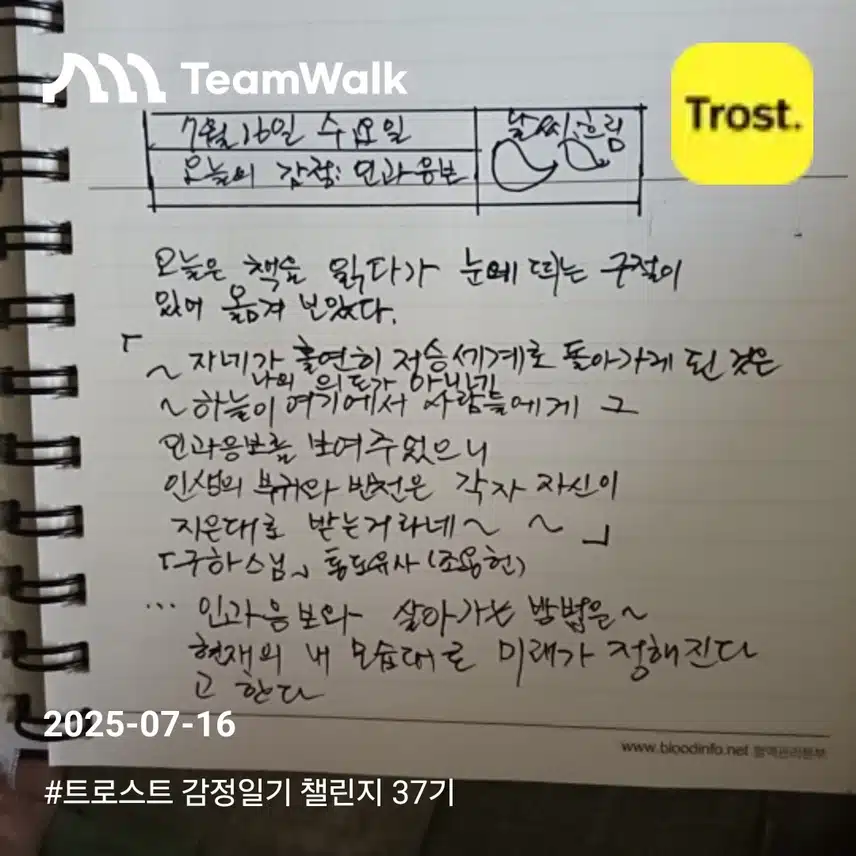 감정 일기 챌린지 인증!