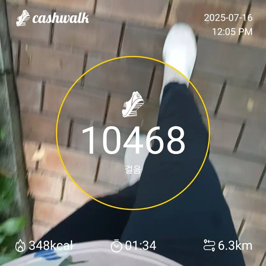 쇼마젠시 7천