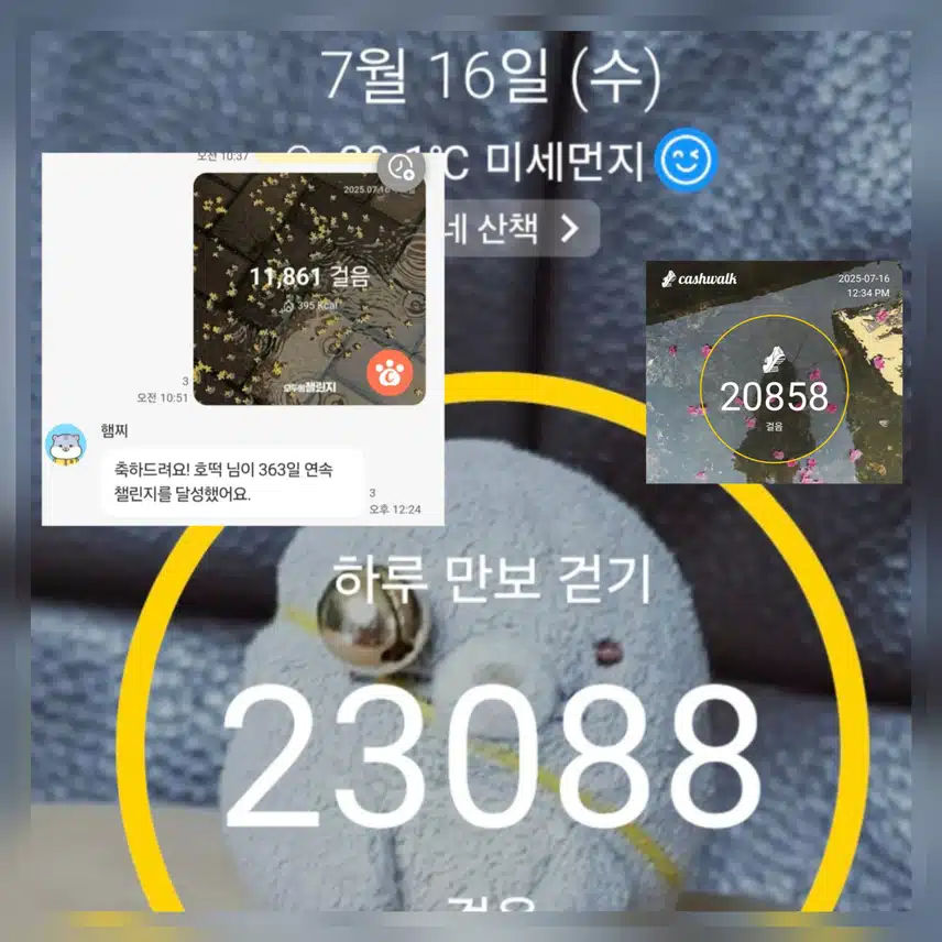 363일 만보걷기 완료 했어요 ~🤭🥰