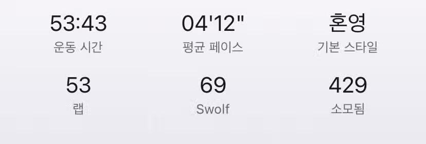 수영추천