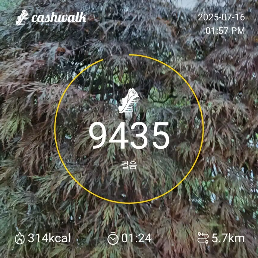 인증 