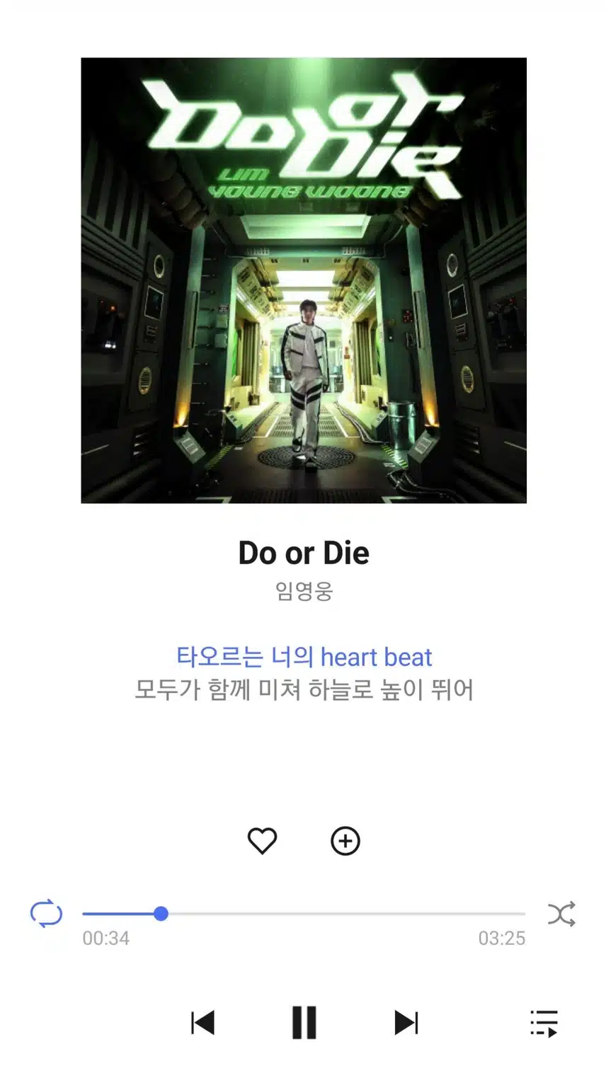 나른한 오후에는 두올다이 노래가 최고죠