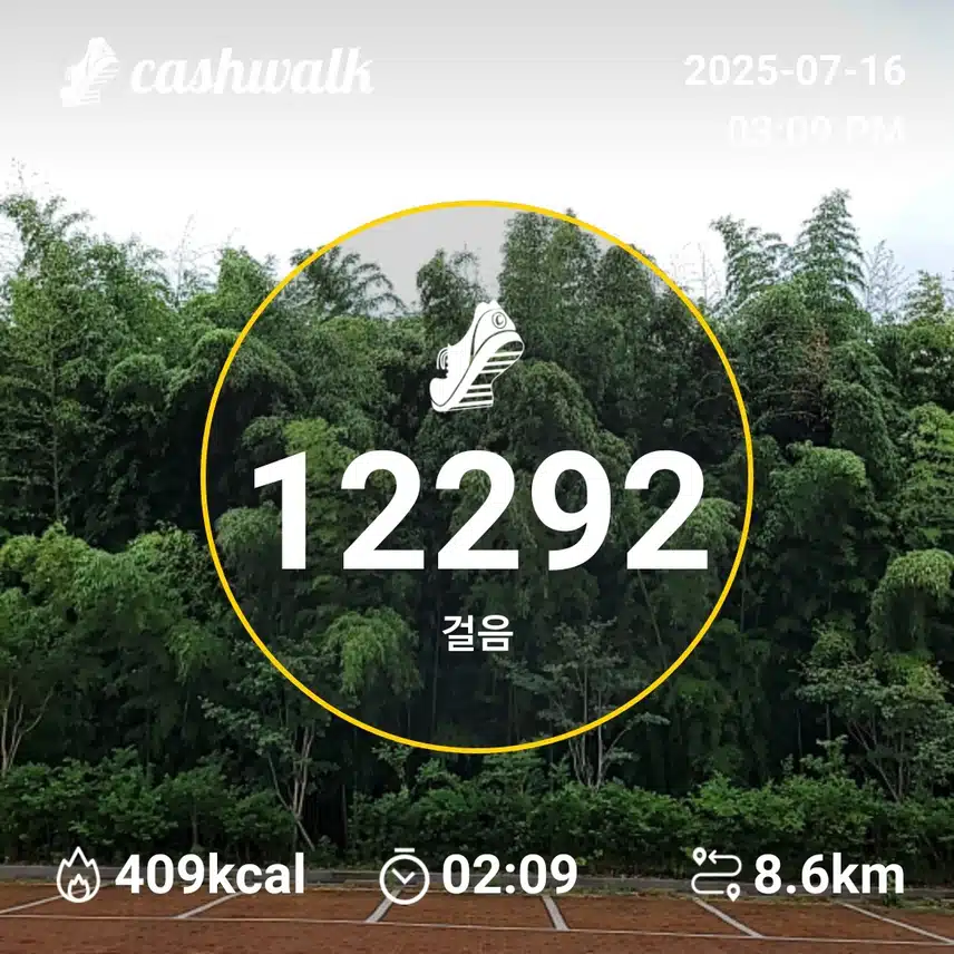 인증