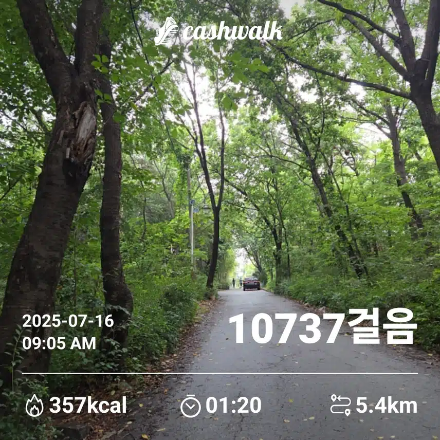 인증