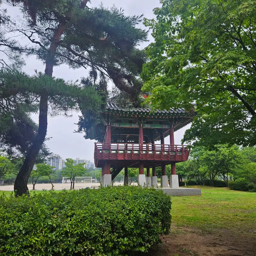 비오는날 