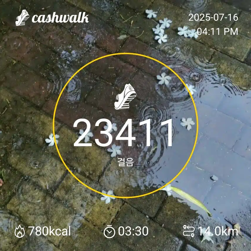 비오는 날이지만..만보걷기 완료 ~(^_^)v