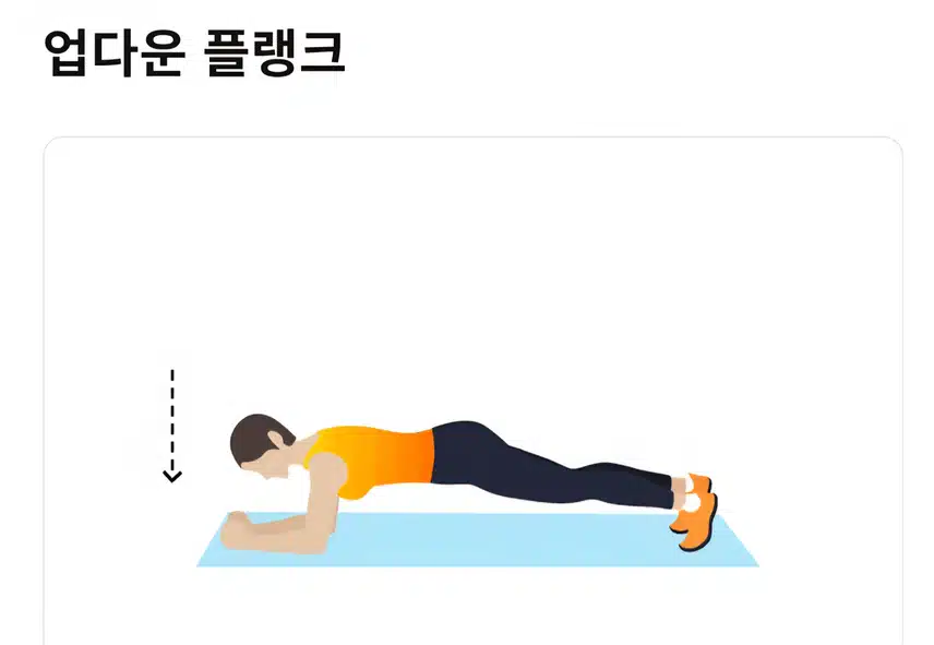 오후 홈트 플랭크