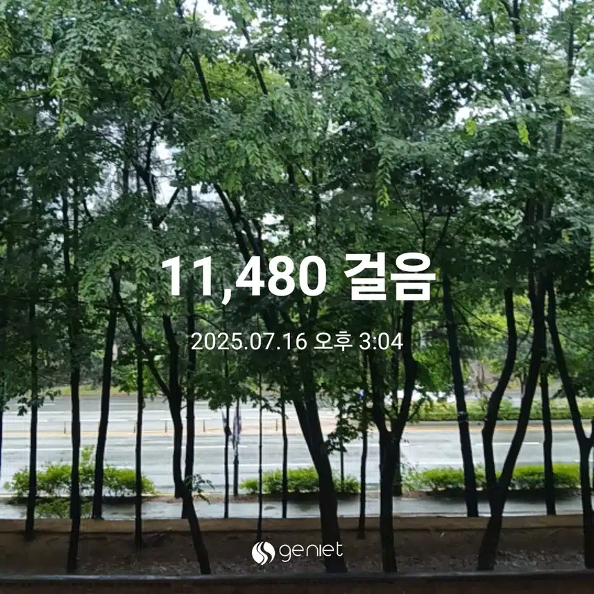 수요일 걷기운동^^