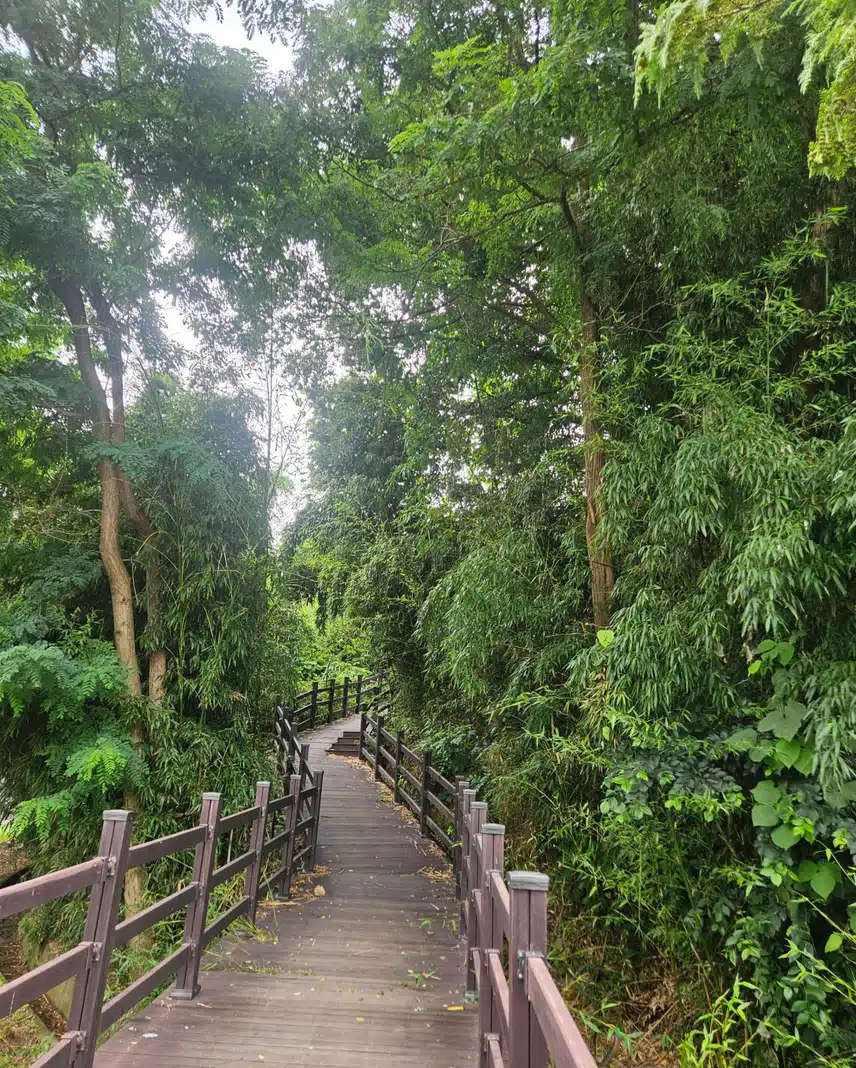 비온 뒤의 상쾌한 산책길 🏃