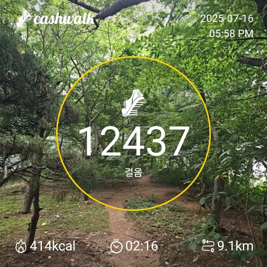 인증 