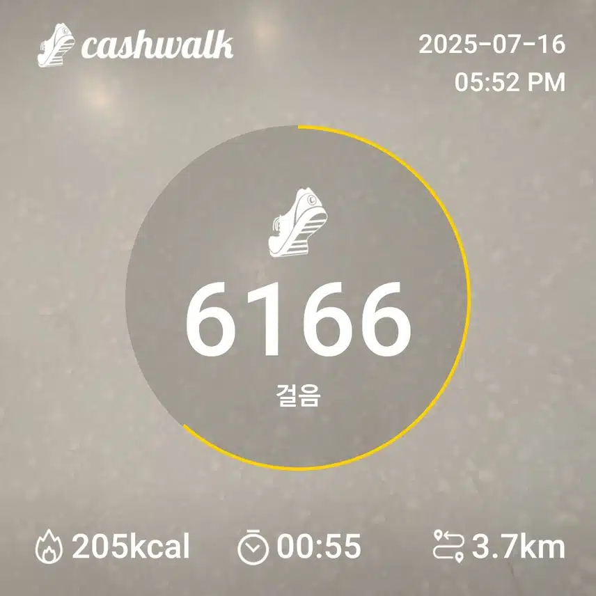 6천보인증
