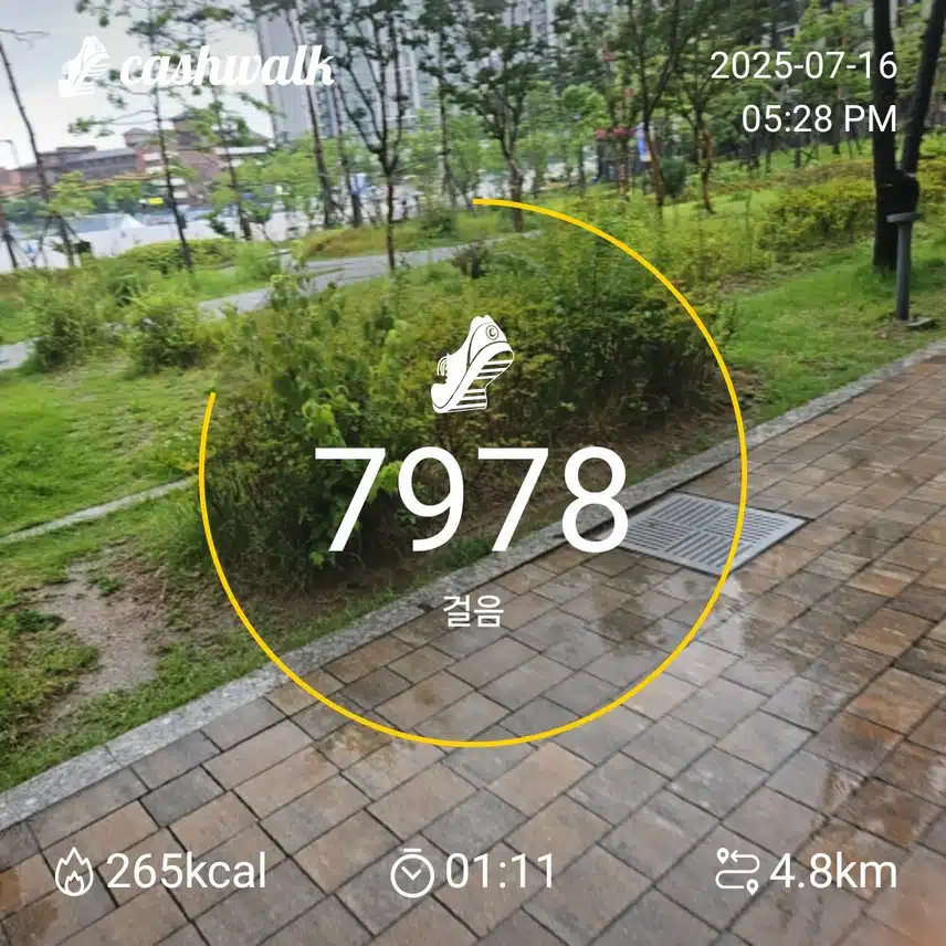 43기7일차