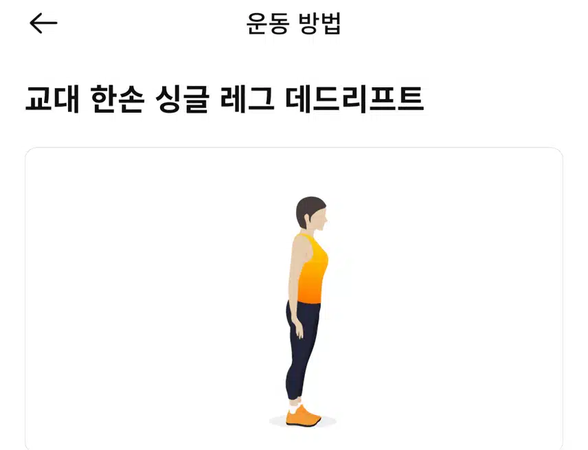 (캐시홈트)하체근력과 밸런스를 동시에 잡는 운동 루틴 