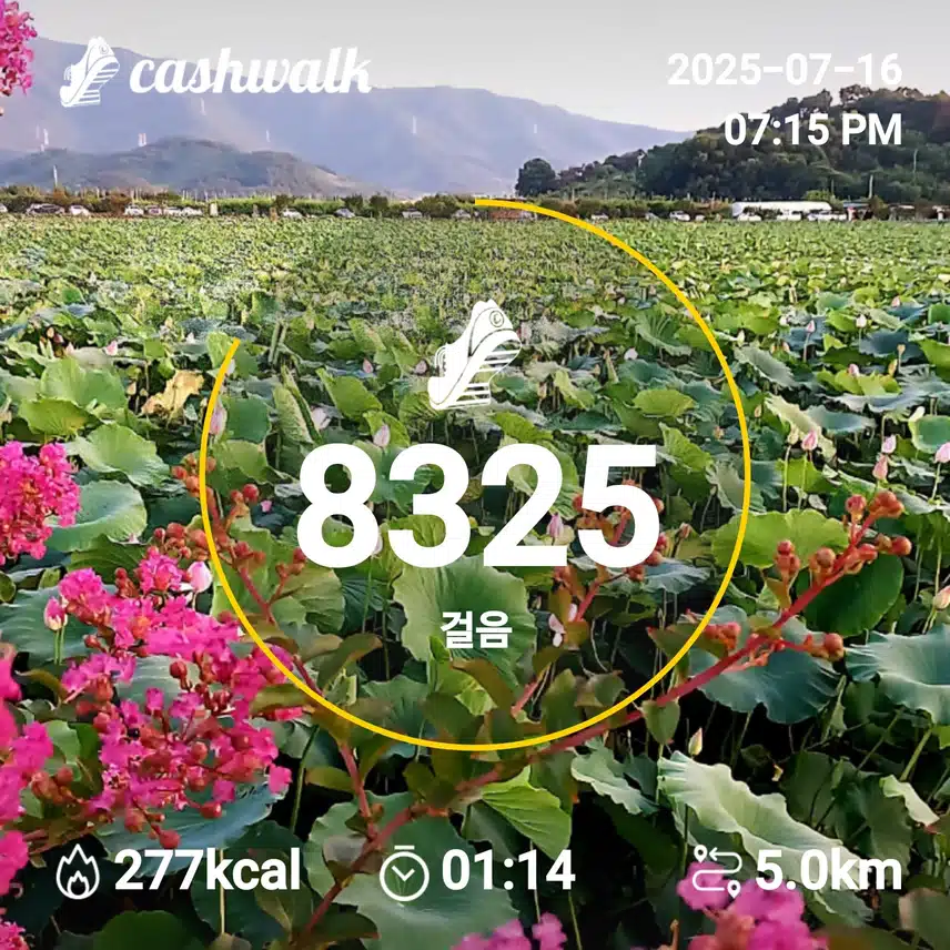 인증