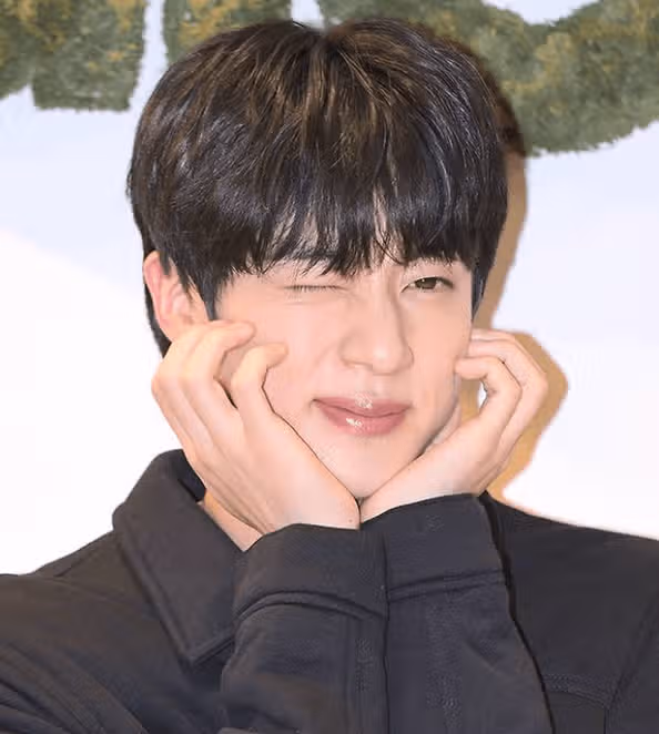 진, 솔로투어 막콘 영화관서 상영하네요.
