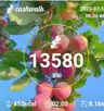 board-img