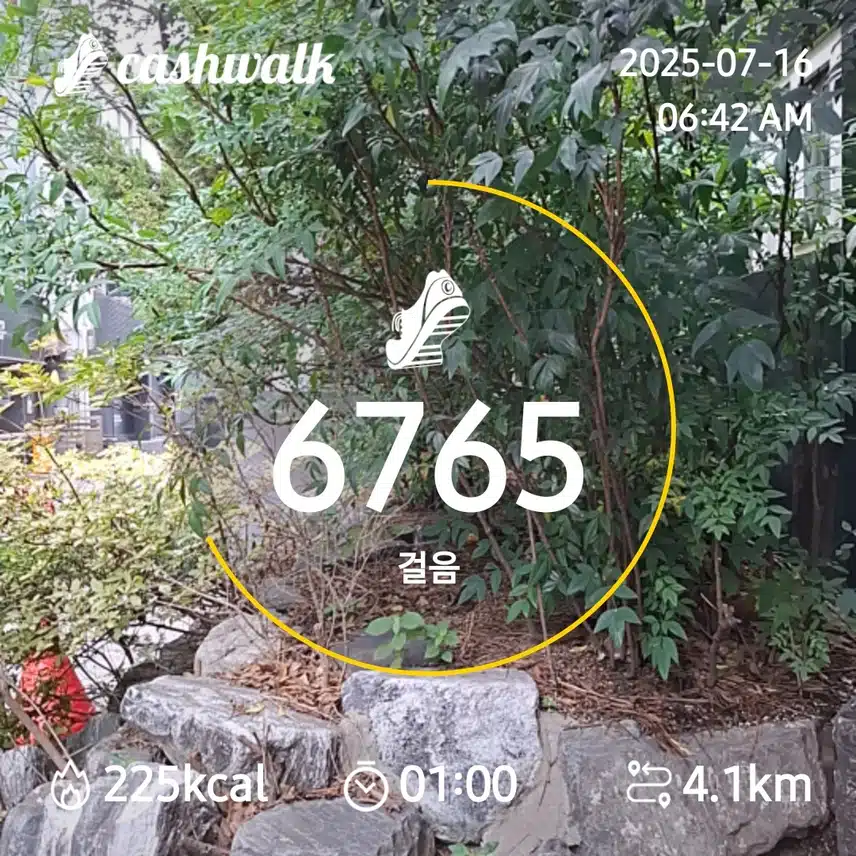 6000보 걷기