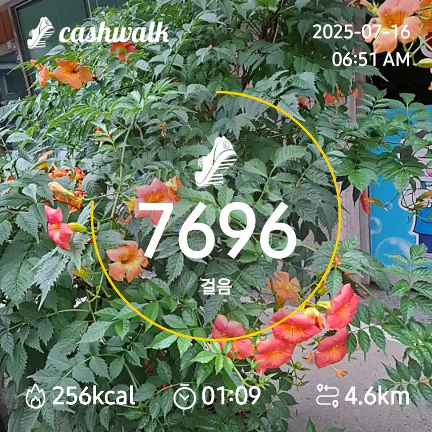 7000보 걷기